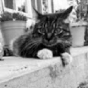 Meet your Posher, Brittney